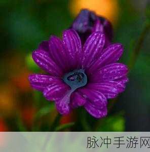 画中世界紫色果实获取全指南