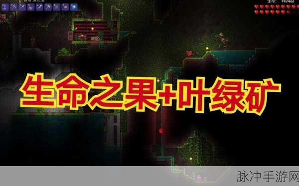 泰拉瑞亚生命果位置全攻略