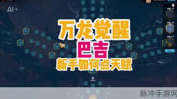 万龙觉醒，巴克尔阵容搭配秘籍大公开