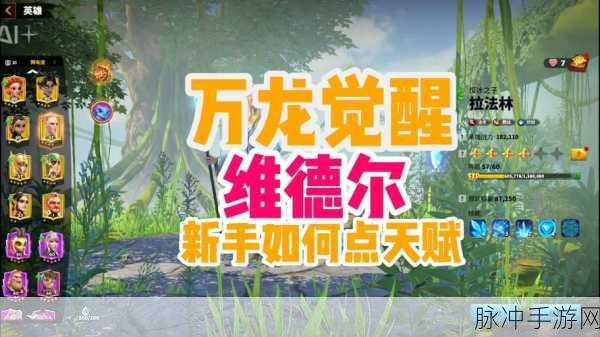 万龙觉醒中巴吉天赋加点的超强攻略