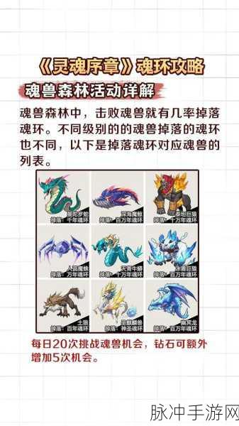 顺天传奇兽魂全解析 超强效果一览