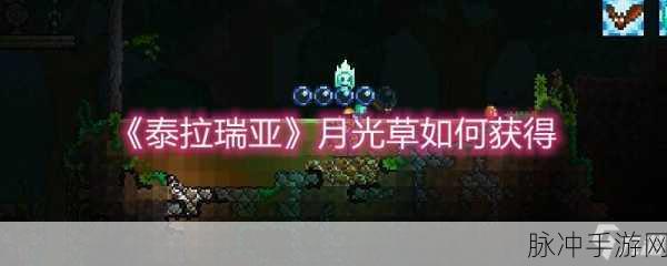 泰拉瑞亚粘性绷带获取全攻略