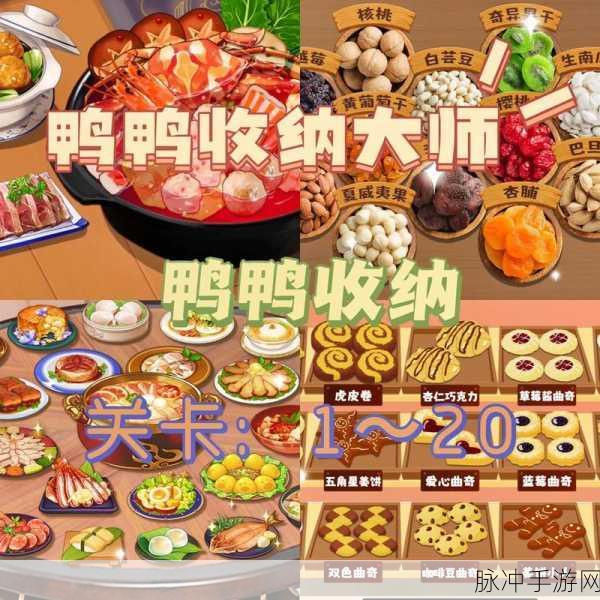 鸭鸭收纳大师泳装派对通关秘籍大揭秘