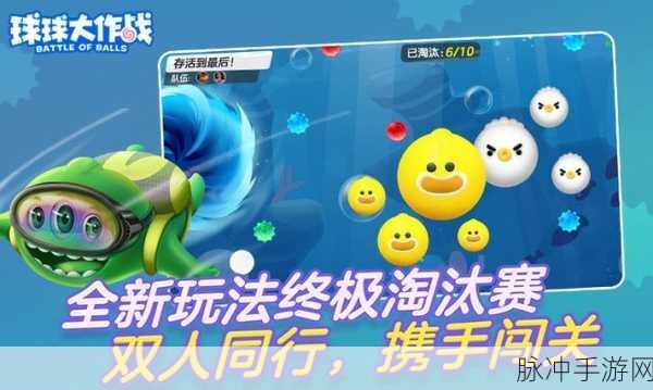 2024 球球大作战免费兑换码金蘑菇秘籍大公开