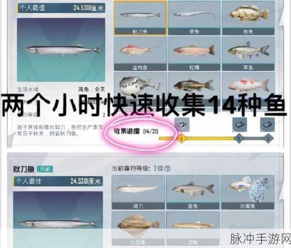 和平精英绿洲世界鱼竿升级与垂钓秘籍大公开