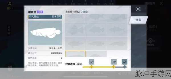 和平精英绿洲世界鱼竿升级与垂钓秘籍大公开