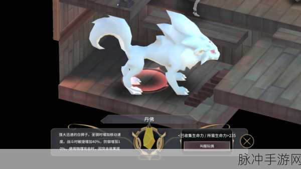 魔女之泉 R 闪电剑激活秘籍大公开