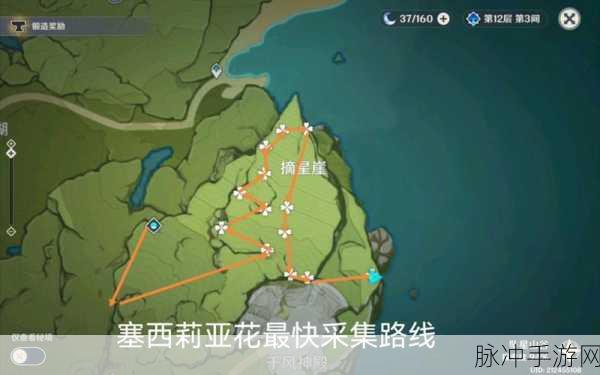 原神塞西莉亚花采集全攻略