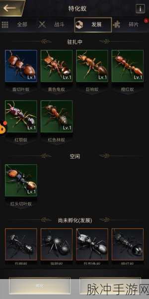 小小蚁国，未开放地区解锁秘籍大公开