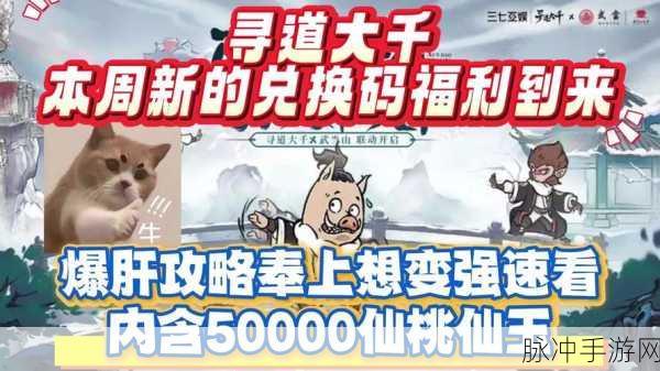 寻道大千 98000 仙玉兑换码全攻略