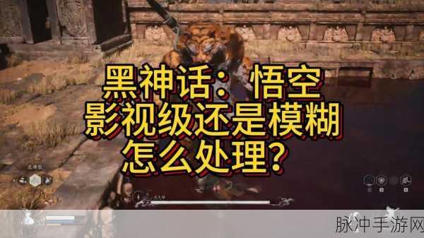 黑神话悟空画面模糊问题全攻略