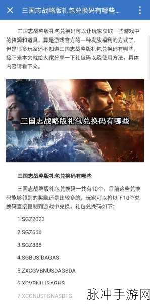 三国志战略版，永久有效兑换码秘籍大公开