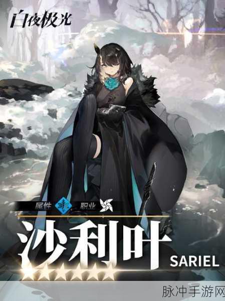 深度剖析白夜极光沙利叶的培养价值与强度