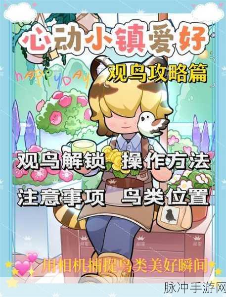 心动小镇好友等级快速提升至 2 级的秘诀
