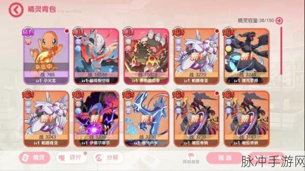 口袋异世界 2024 激活码全攻略