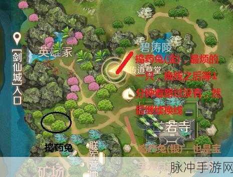 完美世界手游 2024 最新兑换码全攻略