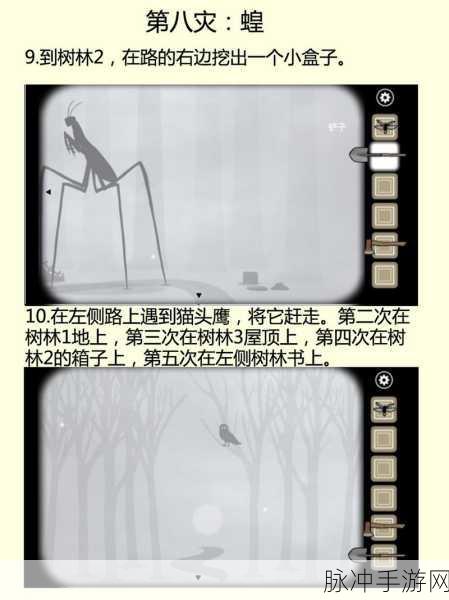 锈湖天堂岛第八灾蝗灾全攻略，寻找猫头鹰的踪迹