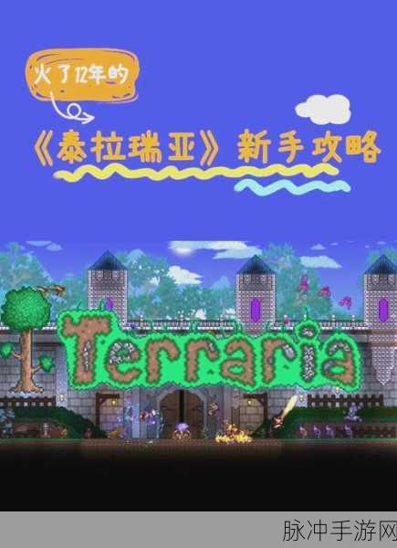 泰拉瑞亚，解锁泰拉之刃的终极攻略