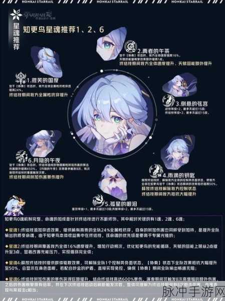 崩坏星穹铁道，知更鸟停云阵容深度剖析与搭配指南