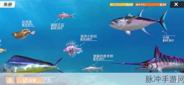 欢乐钓鱼大师，陀螺仪道具的深度解析与使用指南