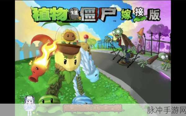 植物大战僵尸嫁接版手机版下载全攻略