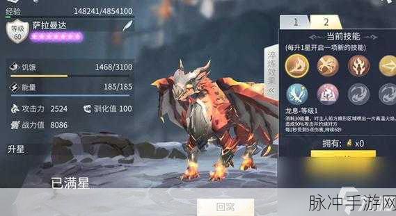 冰原守卫者龙装获取秘籍大公开