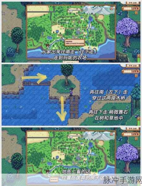 星露谷物语中莱纳斯位置全揭秘