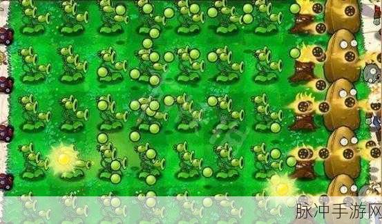 植物大战僵尸坚不可摧的无敌阵容攻略
