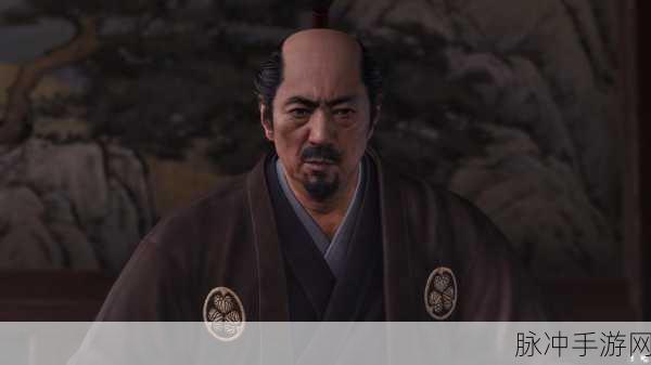 无双大蛇 3 德川家康全解析，威猛武将风采
