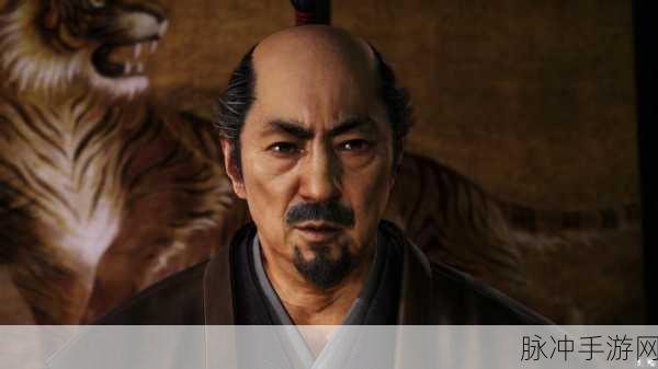 无双大蛇 3 德川家康全解析，威猛武将风采