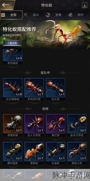 小小蚁国，最强蚂蚁阵容与特化蚁搭配全攻略