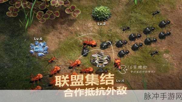 小小蚁国，最强蚂蚁阵容与特化蚁搭配全攻略
