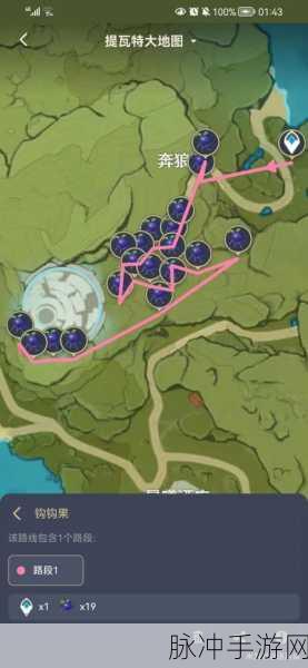 原神钩钩果采集全攻略，地点与路线大揭秘