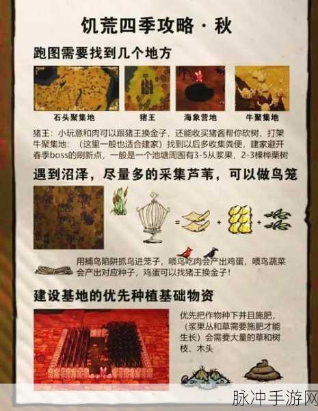 饥荒新家园气象仪实用指南，掌控天气变化