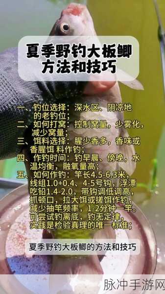 钓鱼发烧友称霸钓鱼大赛的高分秘籍
