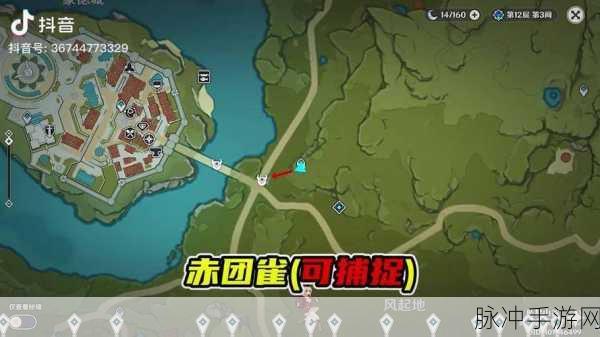 原神，两种禽鸟拍摄难题全攻略