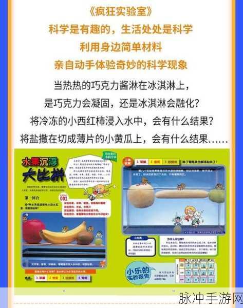 烧脑瓶子第 48 关通关秘籍大揭秘
