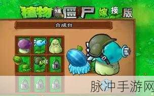 探索植物大战僵尸嫁接版背后的神秘作者