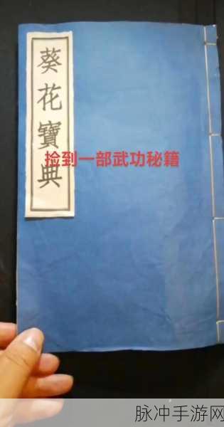 绝世好武功不全人状态的完美破解之道