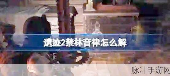 遗迹 2 禁林解谜全攻略 带你突破重重关卡