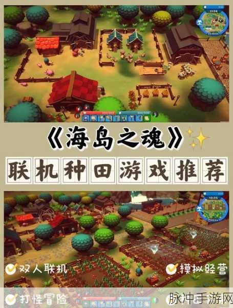 探索海岛之魂的联机奥秘 畅玩精彩之旅