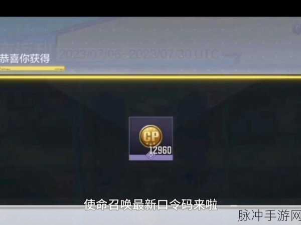 使命召唤台服 2024 礼包兑换码全揭秘