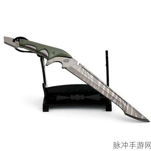暗区突围鲨鱼刀获取秘籍大公开