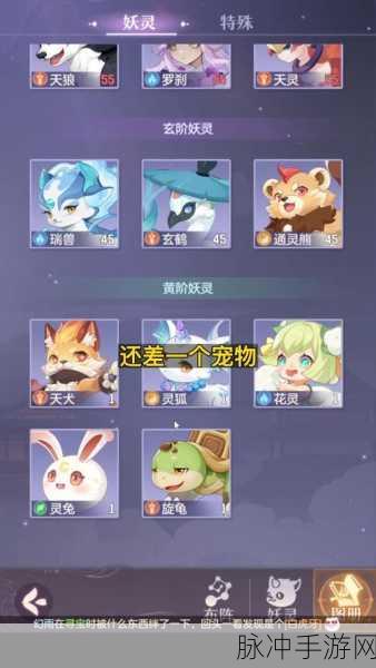 长安幻想首充宝宝的绝佳选择指南