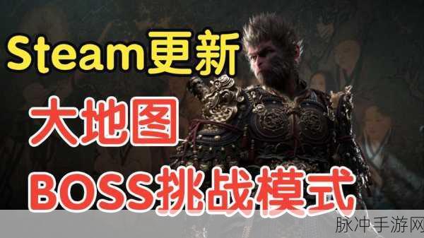 PS4 与黑神话悟空的兼容性探究及手游攻略