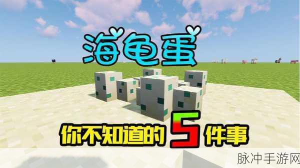 我的世界手游，海龟蛋孵化秘籍大揭秘