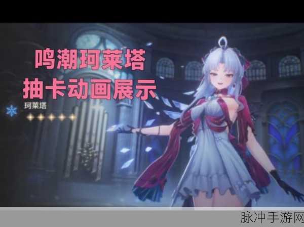 鸣潮珂莱塔配队秘籍大公开