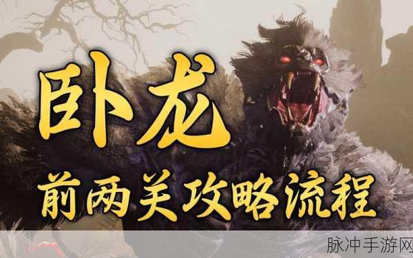 卧龙苍天陨落，五行属性的绝佳选择攻略
