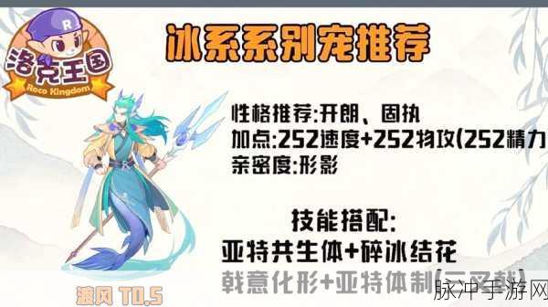 洛克王国寒冰护体玩法全解析与活动攻略指南