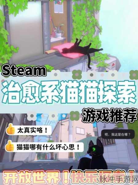 小猫咪大城市，猫老大与小柚子的巅峰对决攻略指南
